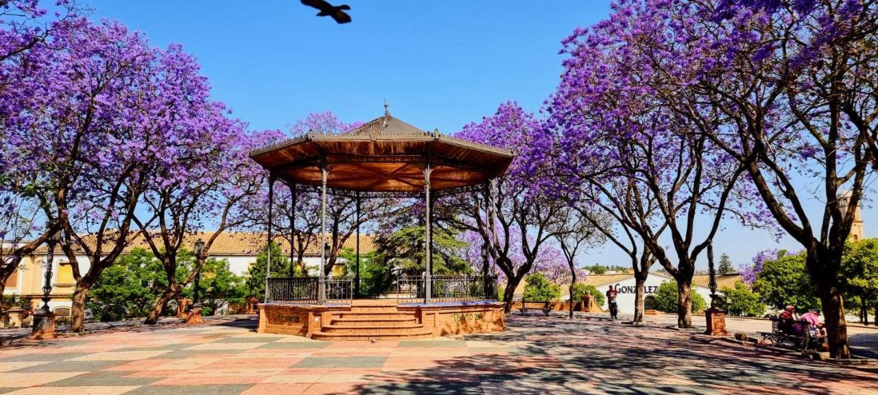 Alazan Jerez Ii-Parking Gratis-Wifi-Netflix Apartment Jerez de la Frontera Bagian luar foto